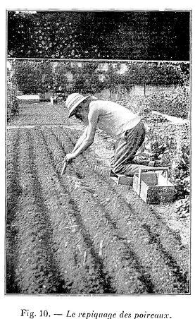 Guide naturiste de jardinage