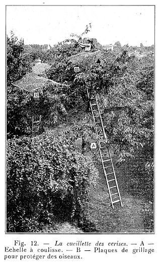 Guide naturiste de jardinage