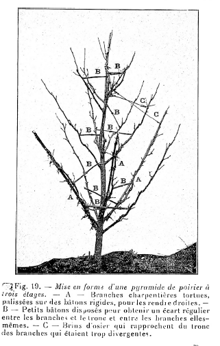 Guide naturiste de jardinage