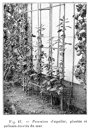 Guide naturiste de jardinage