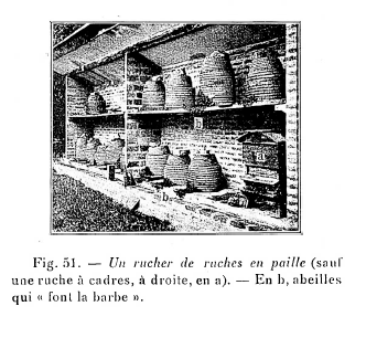 Guide naturiste de jardinage