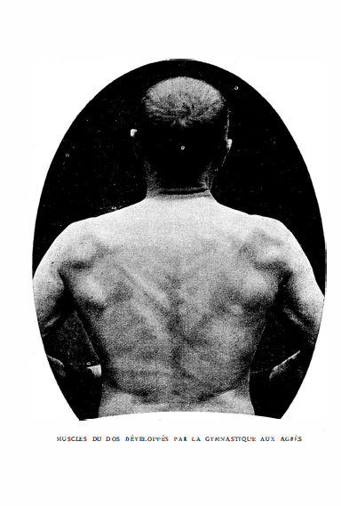 Revenons à la nature et régénérons-nous